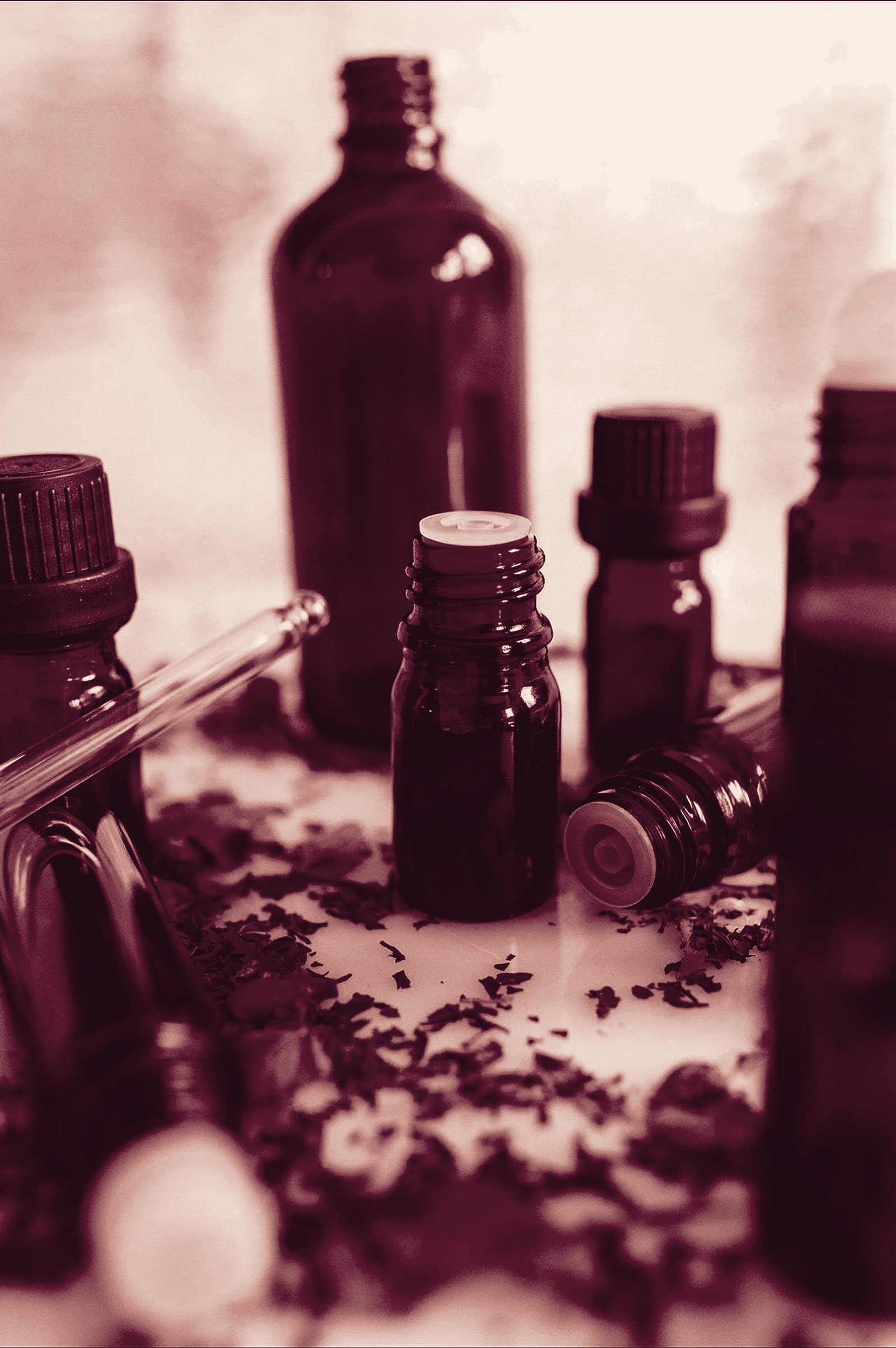 Amber dropper bottles among dried lavender